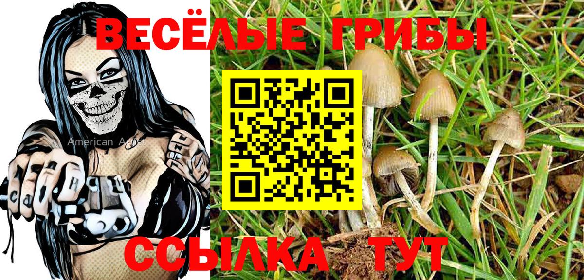 Борзя  Псилоцибиновые грибы Psilocybine cubensis  Вход с VPN 